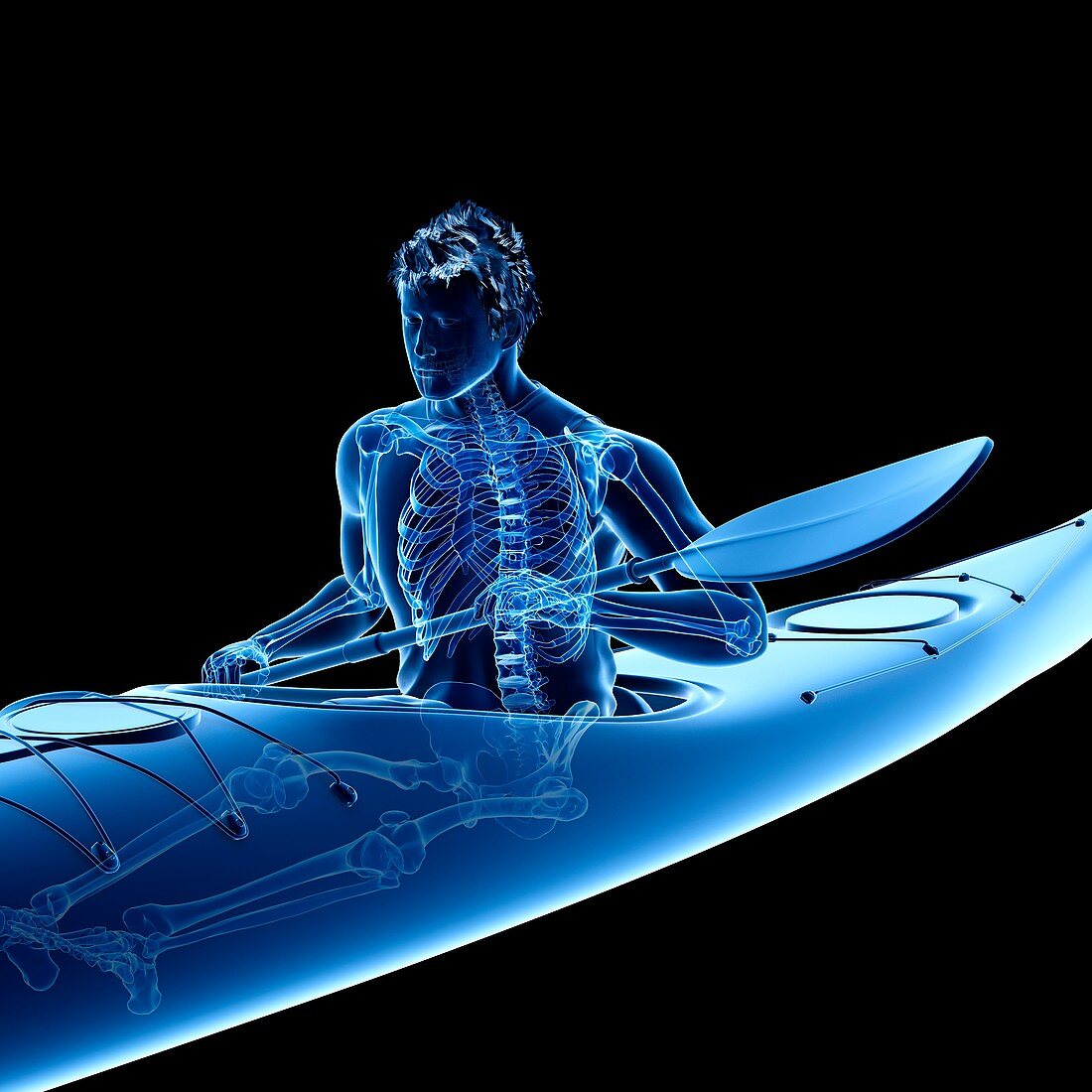 Canoeist's skeleton, illustration
