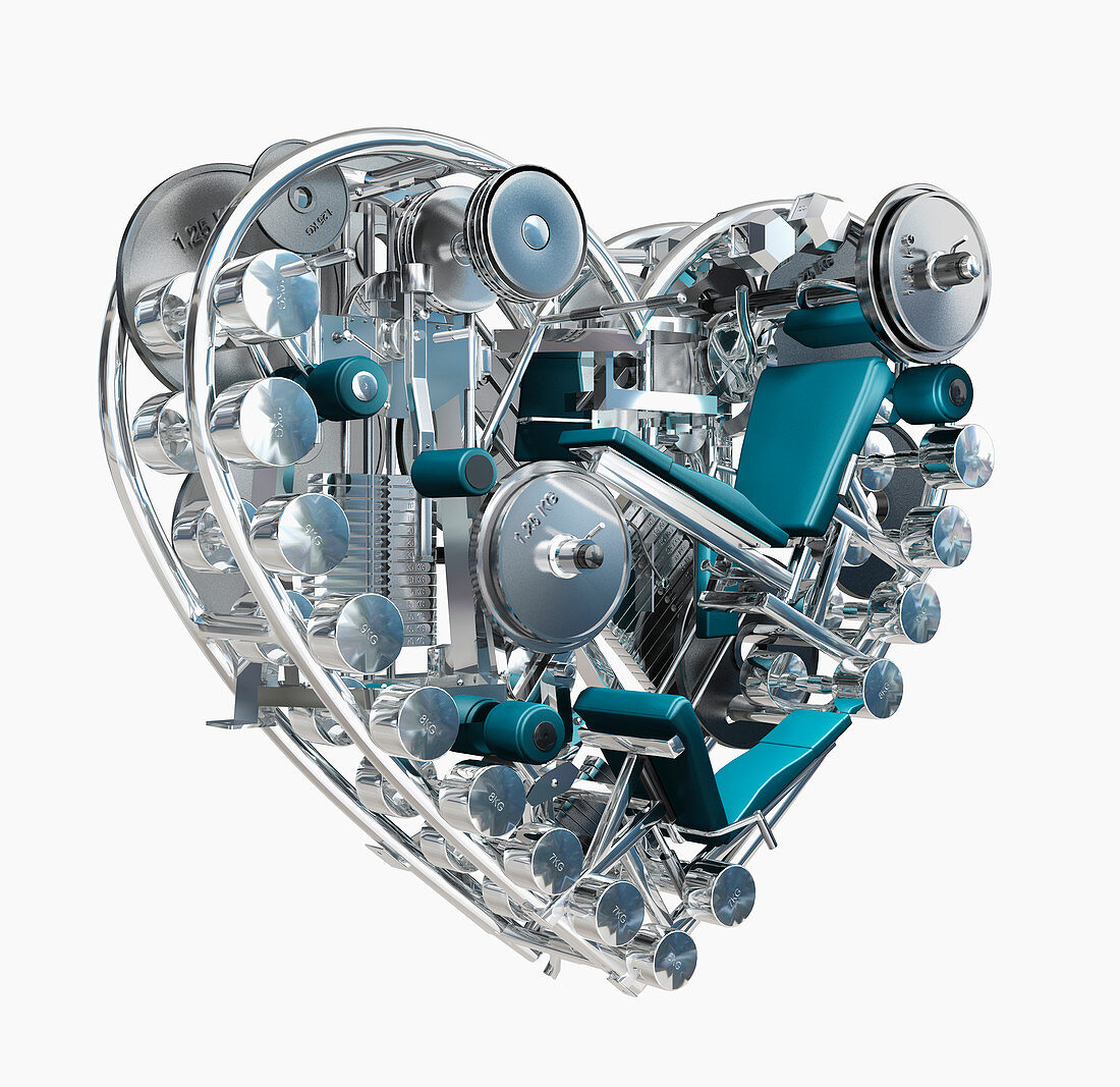 Exercise equipment in metal heart, illustration