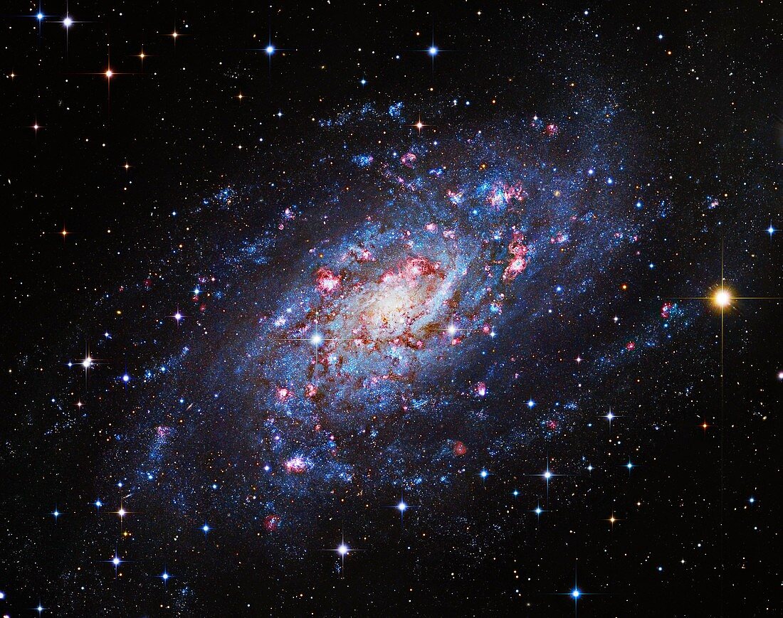 Spiral galaxy NGC 2403, optical image