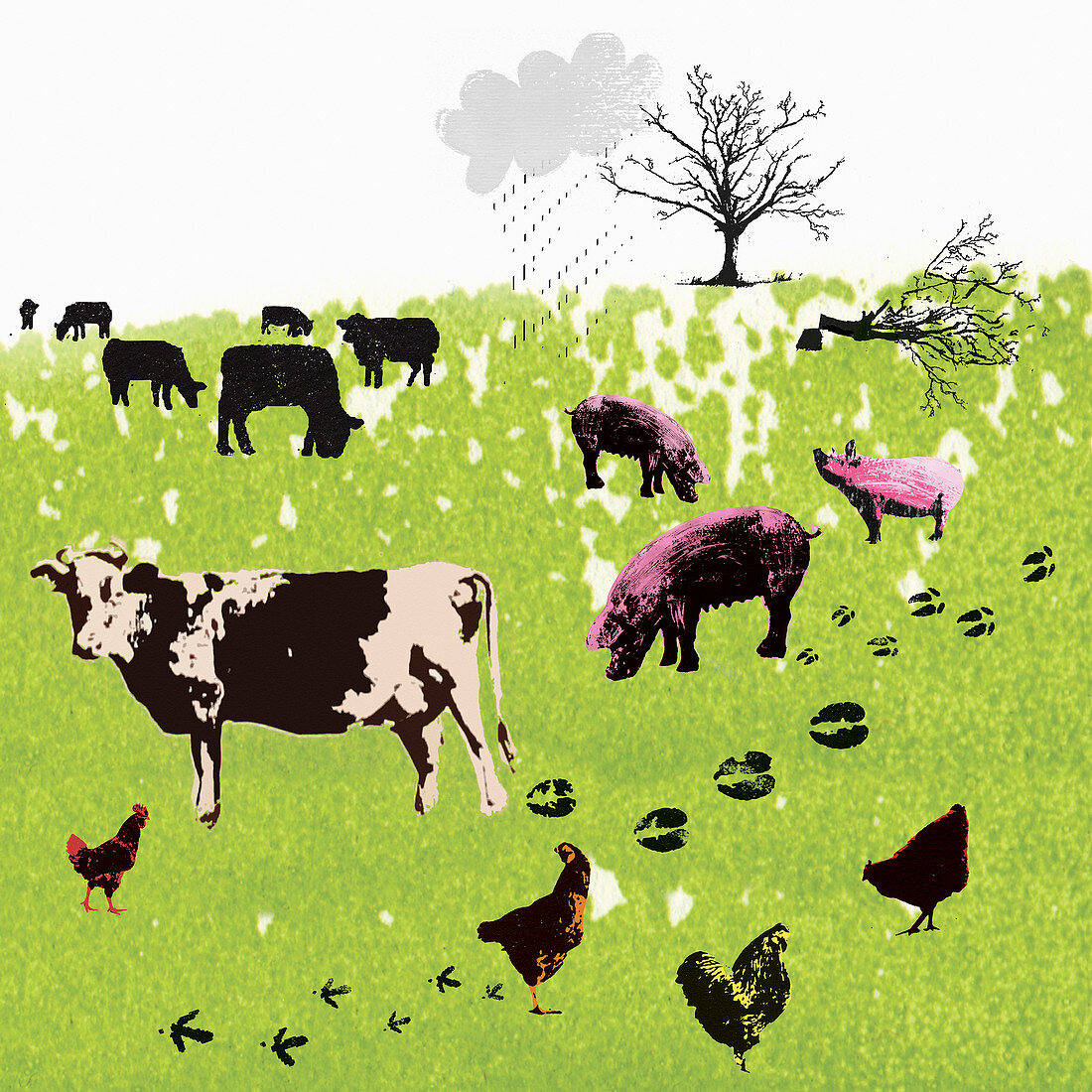 Carbon footprints of farm animals in field, illustration