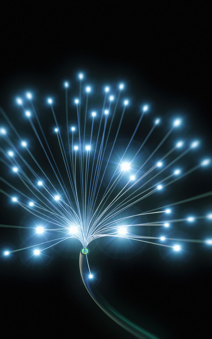 Glowing fibre optic cables, illustration