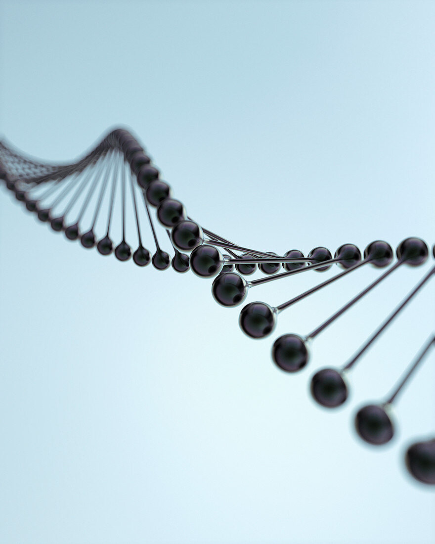 Close up of molecular DNA model, illustration