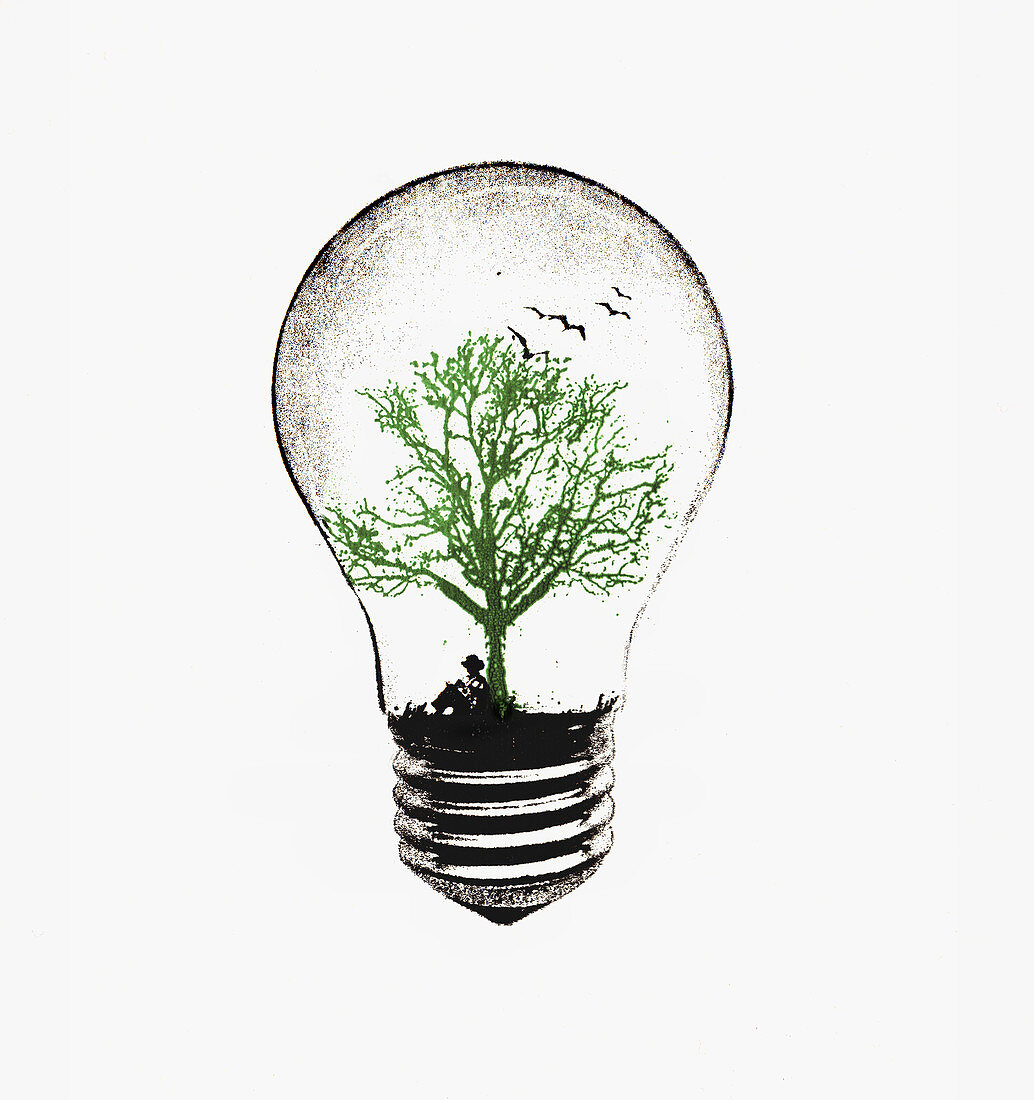Tree growing in light bulb, illustration
