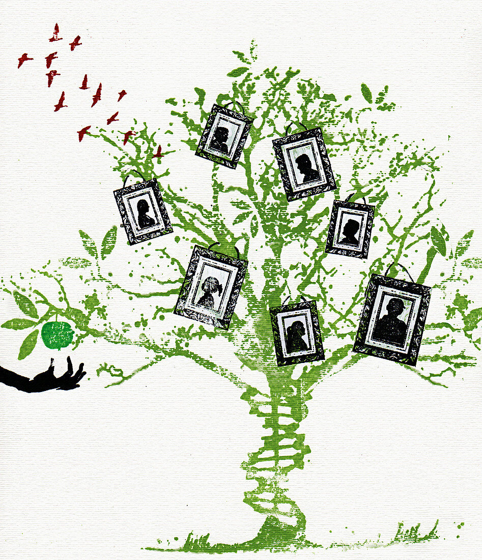 Pictures on family tree, illustration