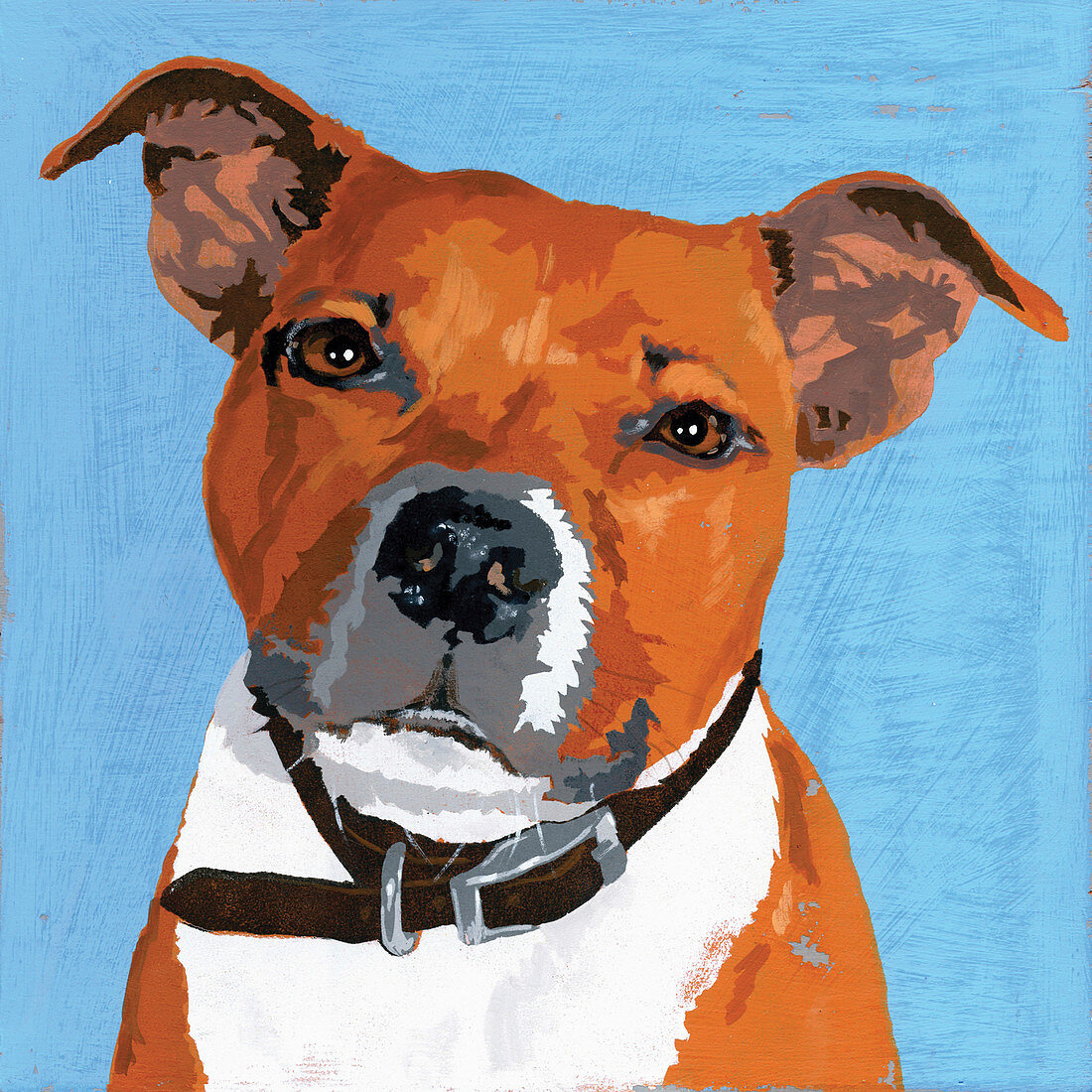 Pit Bull Terrier dog, illustration