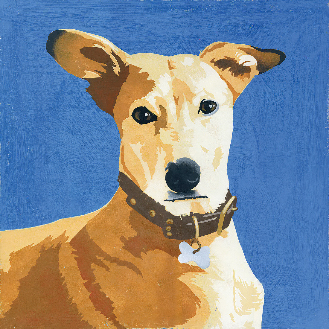 Pharaoh Hound dog, illustration