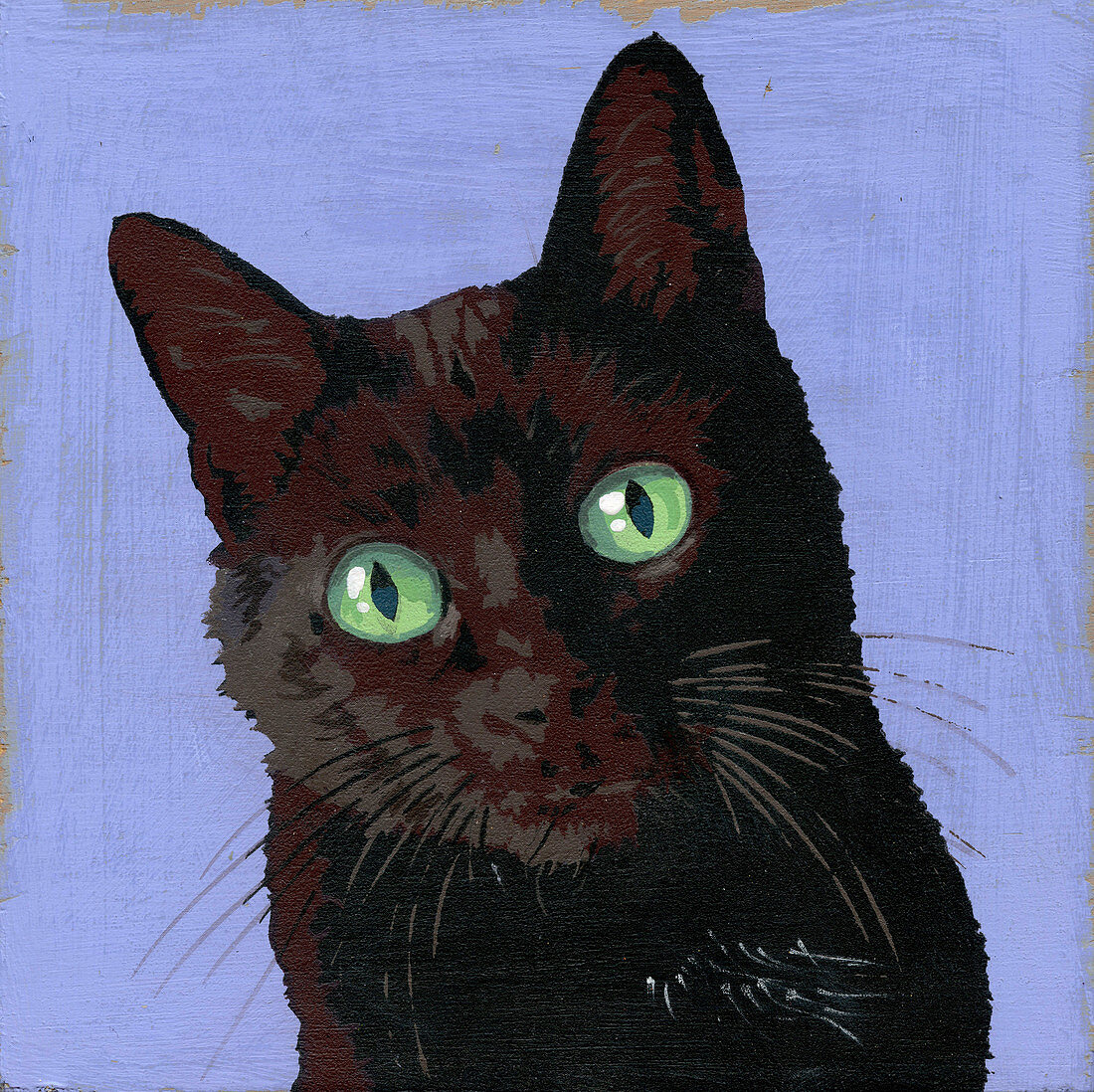 Black cat, illustration