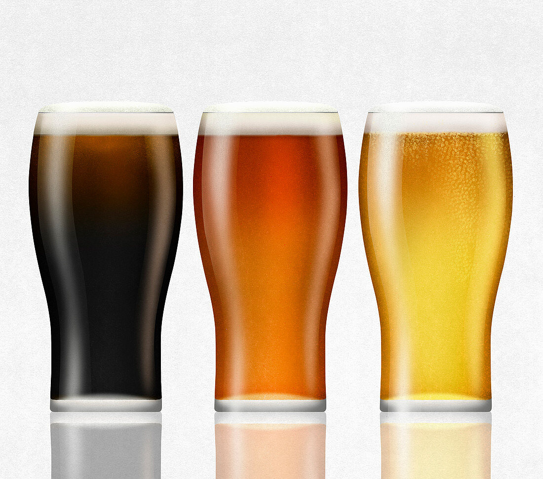 Lager, bitter and stout beers, illustration