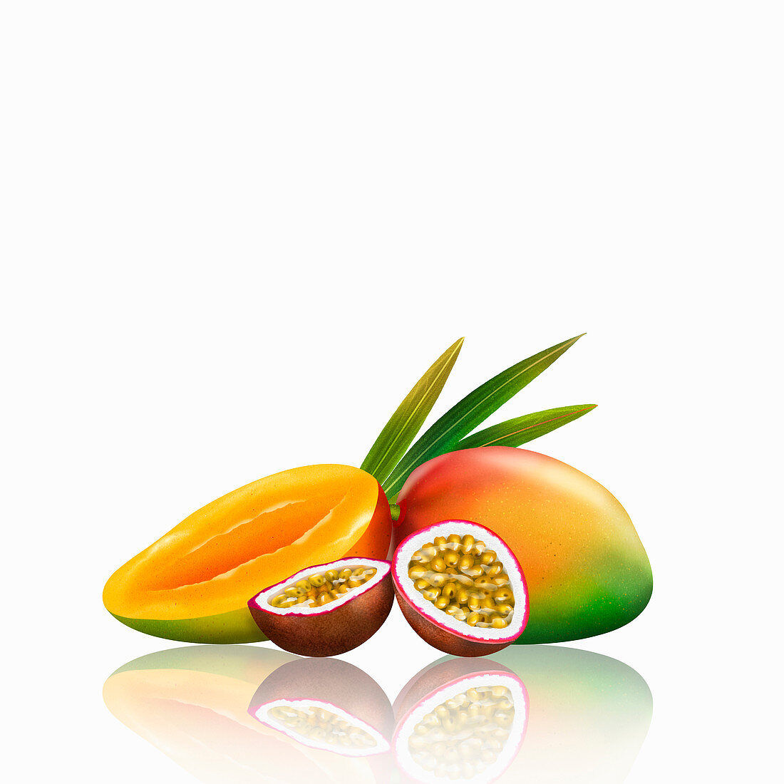 Fresh mangoes and passionfruit, illustration