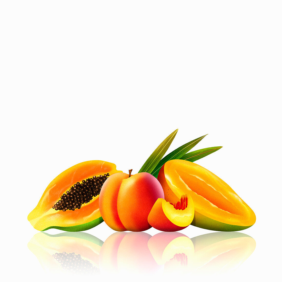 Fresh mango, peach and papaya, illustration