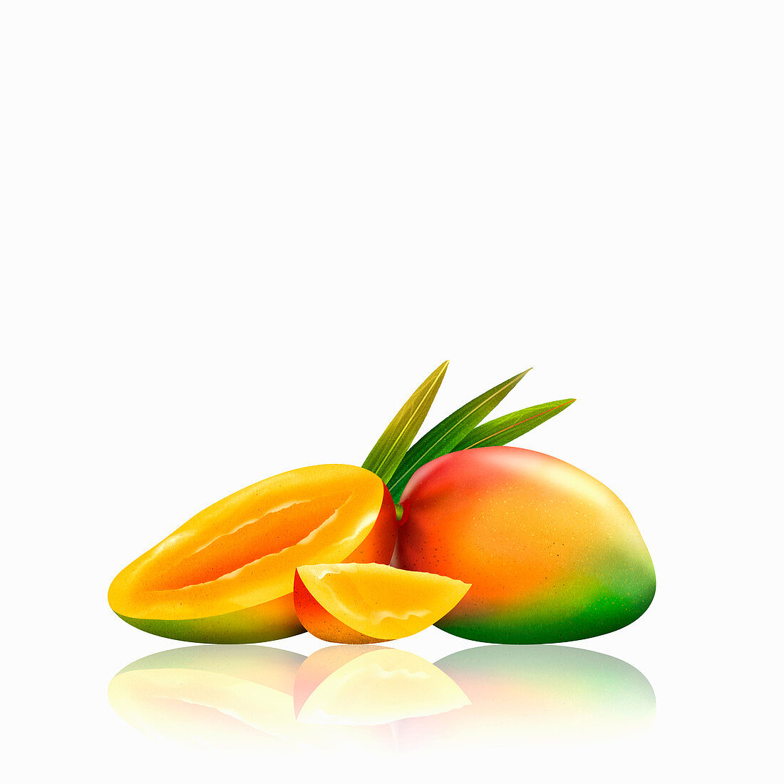 Fresh mangoes, whole, half and slice, illustration