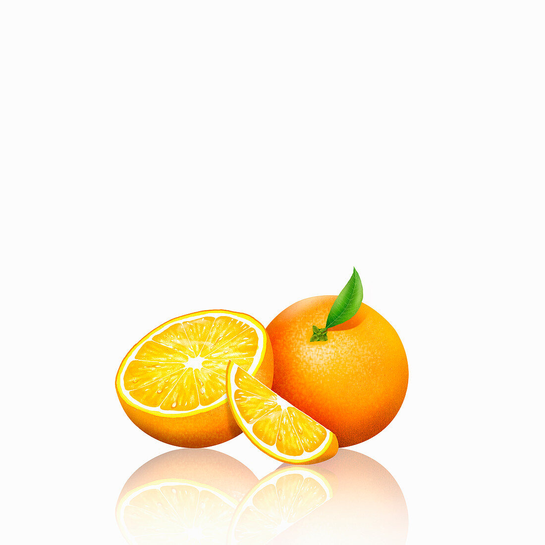 Fresh oranges, whole, half and slice, illustration