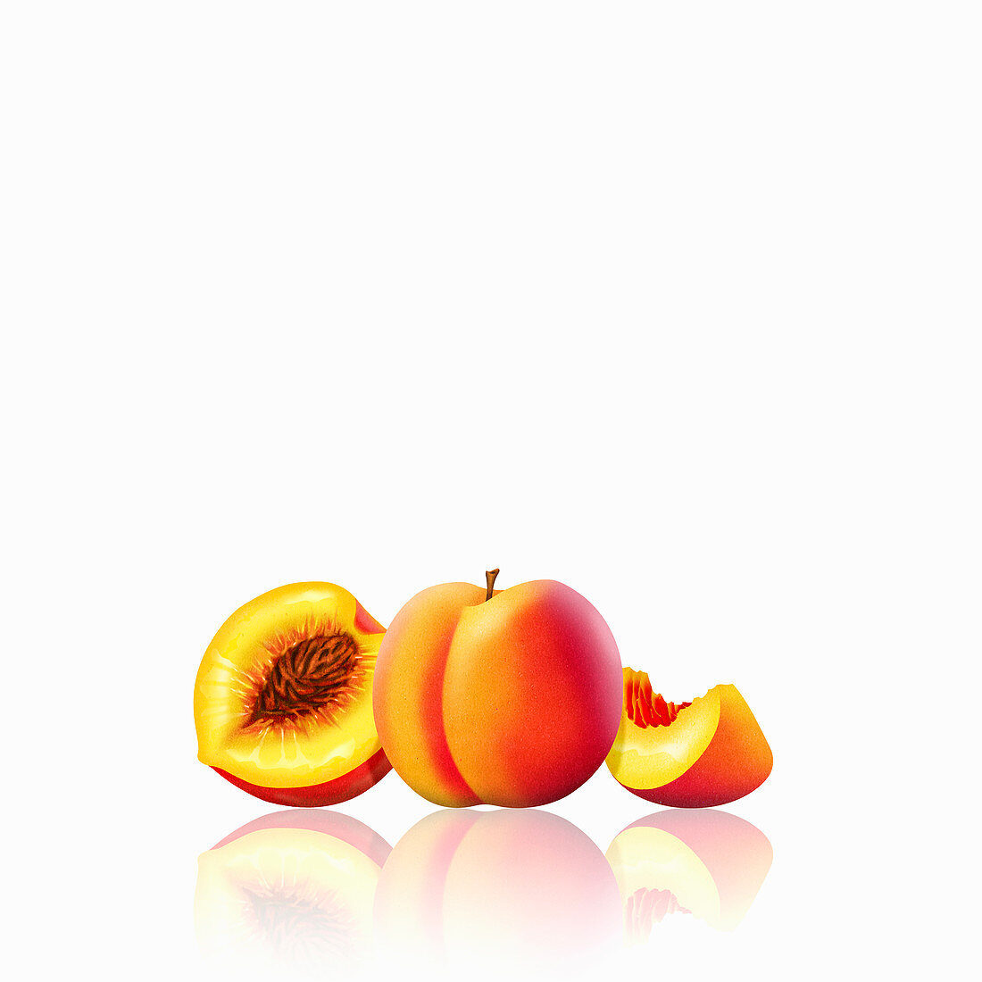 Fresh peaches, whole, half and slice, illustration