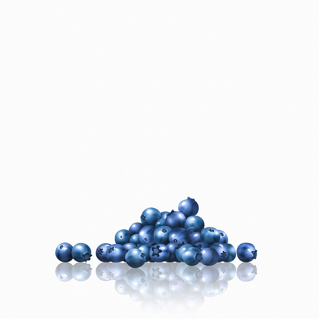 Pile of blueberries, illustration
