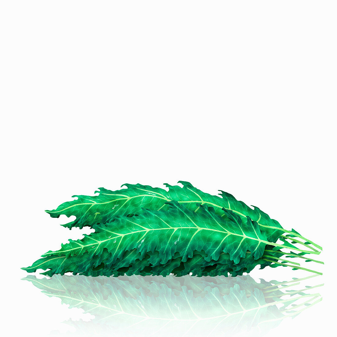 Pile of kale leaves, illustration