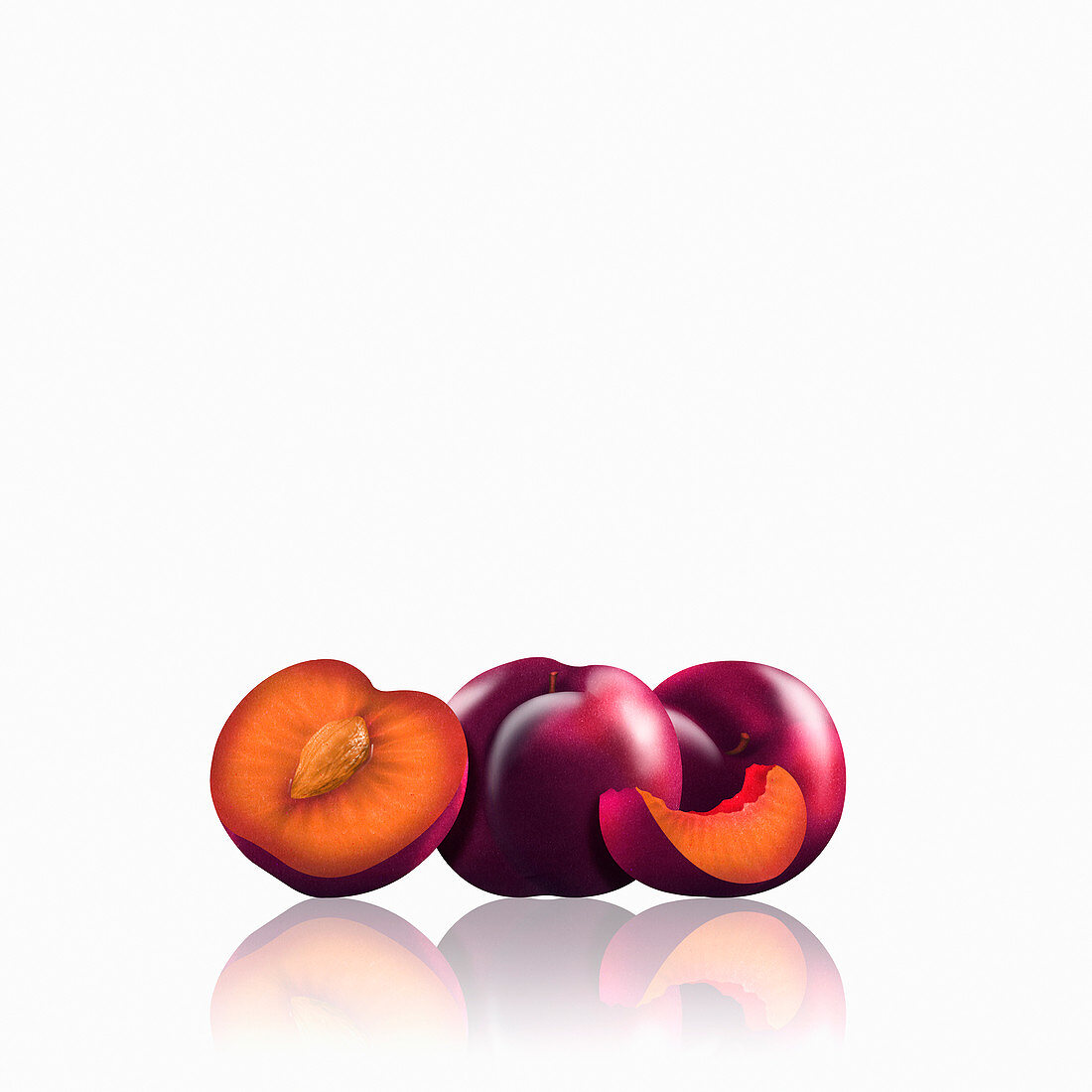 Whole and cut red plums, illustration