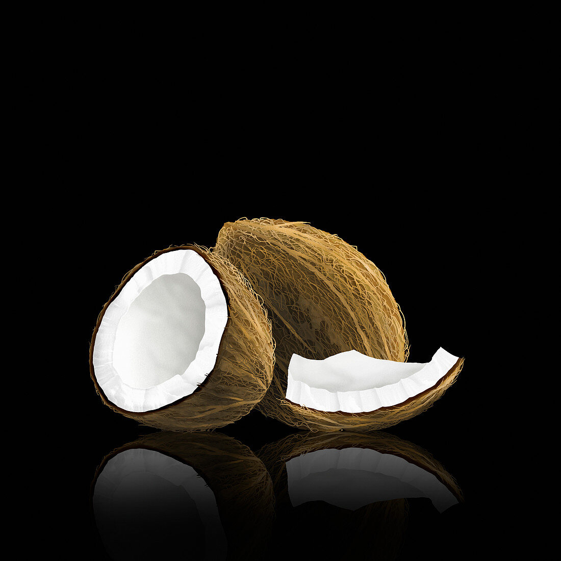 Whole coconut with pieces, illustration