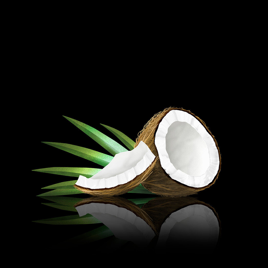 Pieces of coconut, illustration