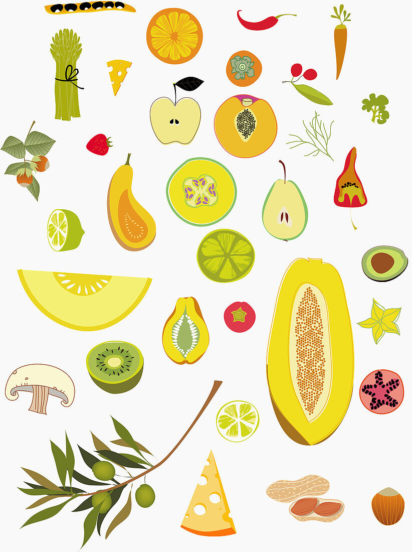 Variety of fruits and vegetables, illustration