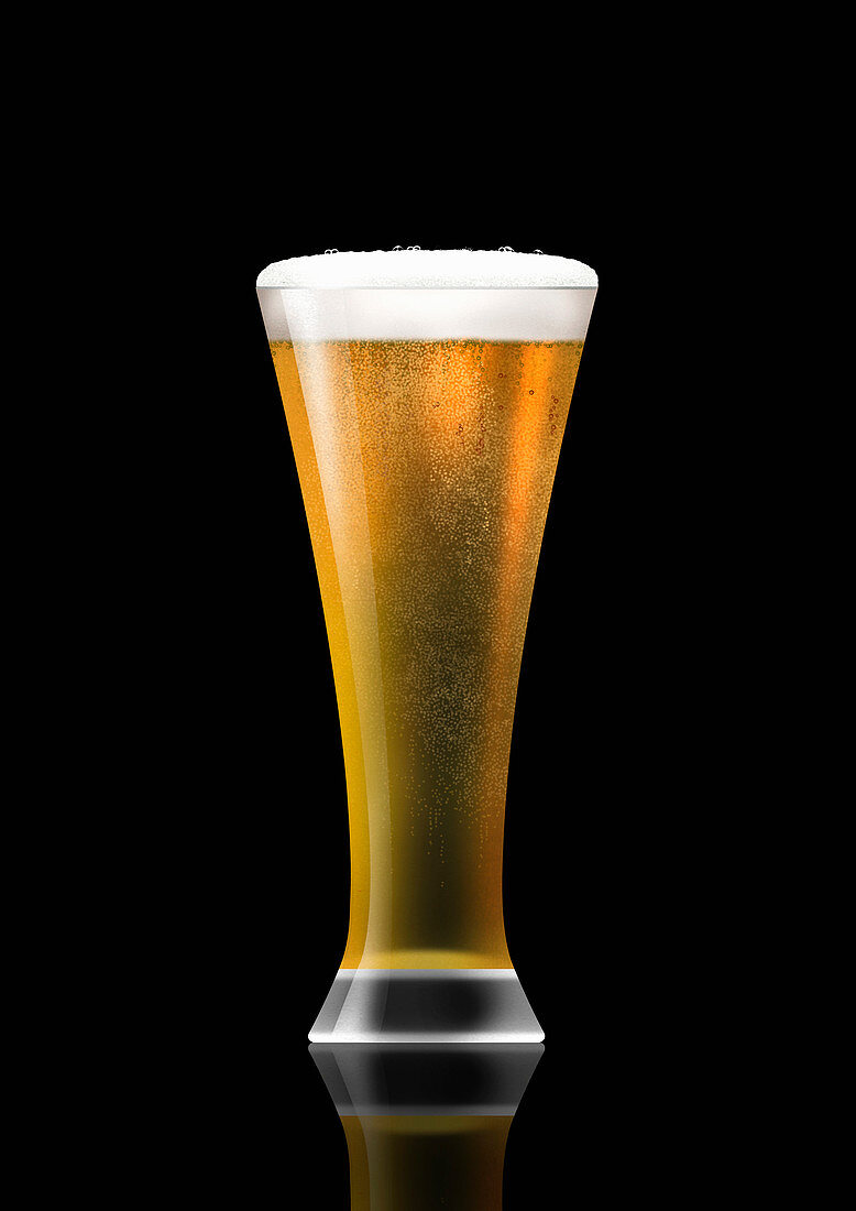 Glass of lager, illustration