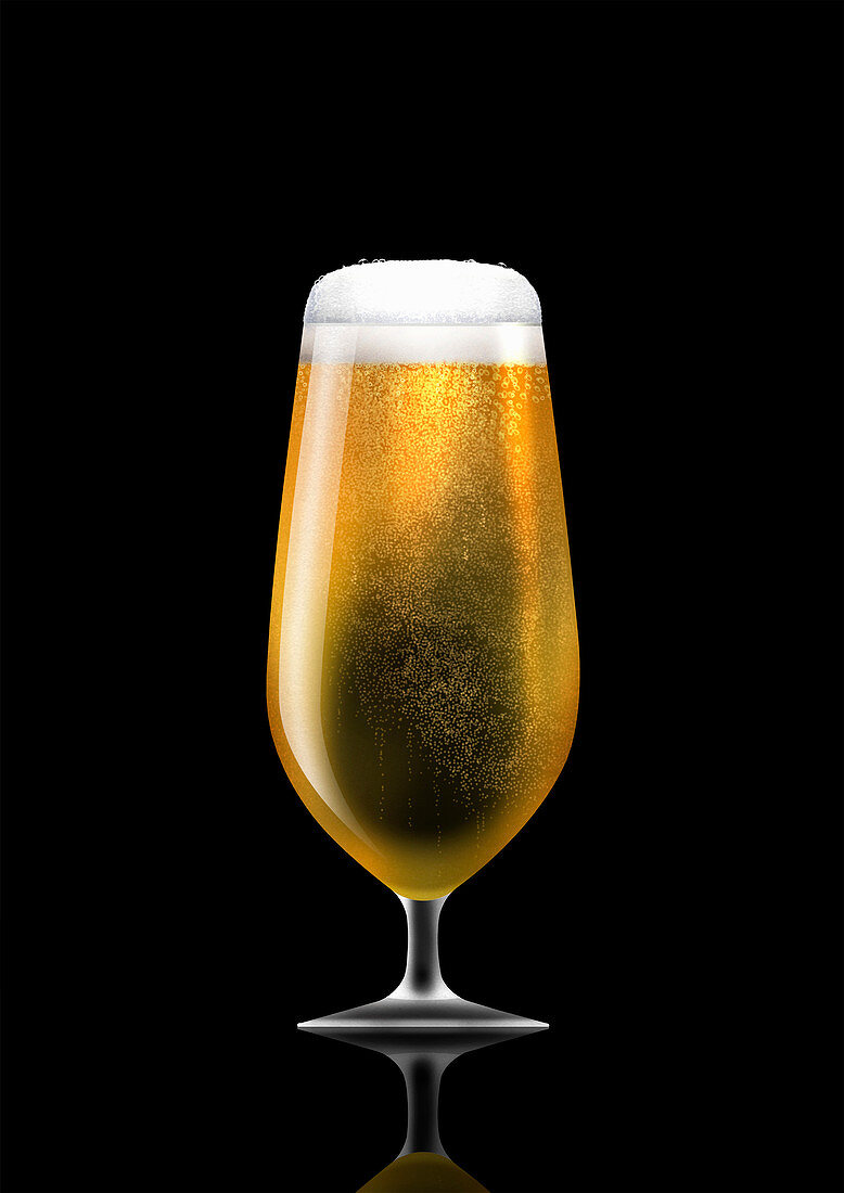 Stemmed glass of lager, illustration