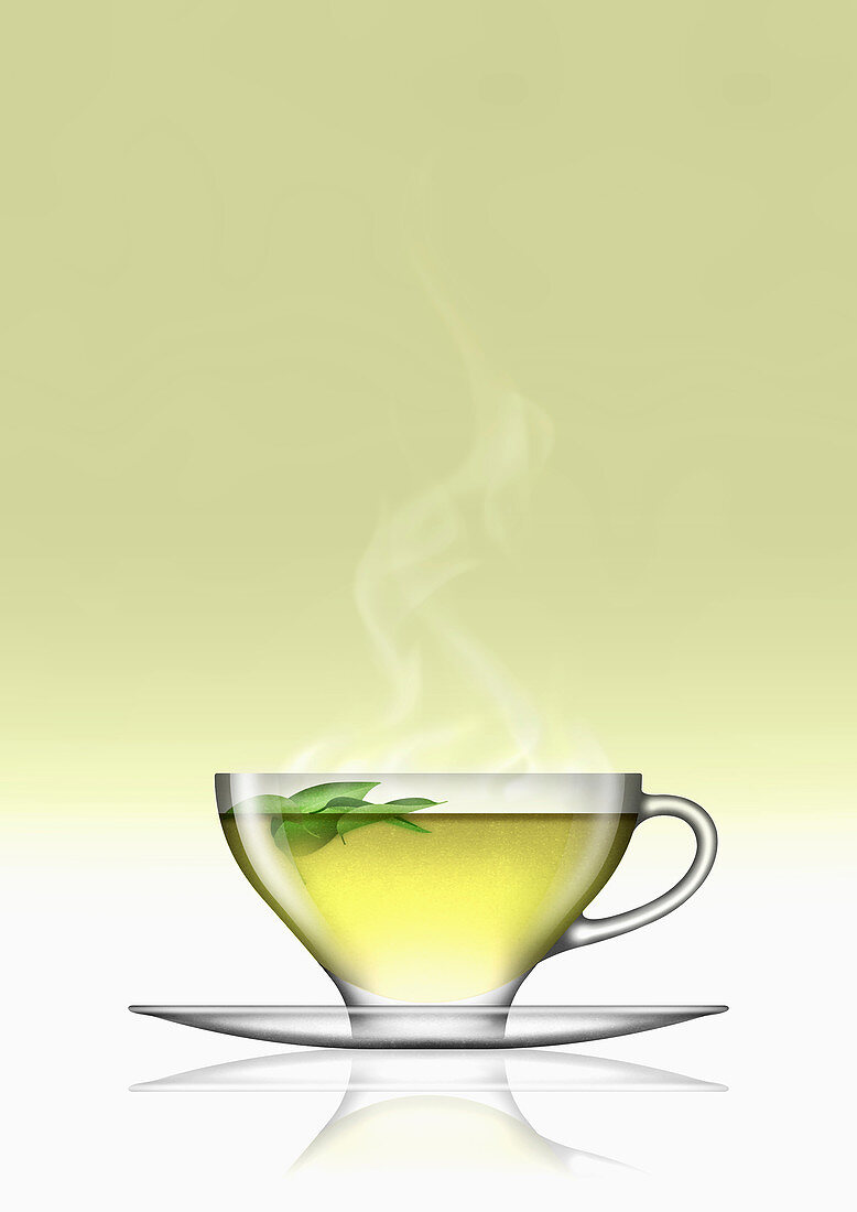 Green tea in glass cup and saucer, illustration