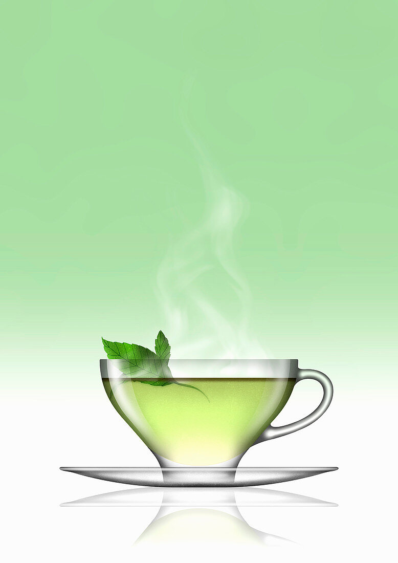 Mint tea in glass cup and saucer, illustration