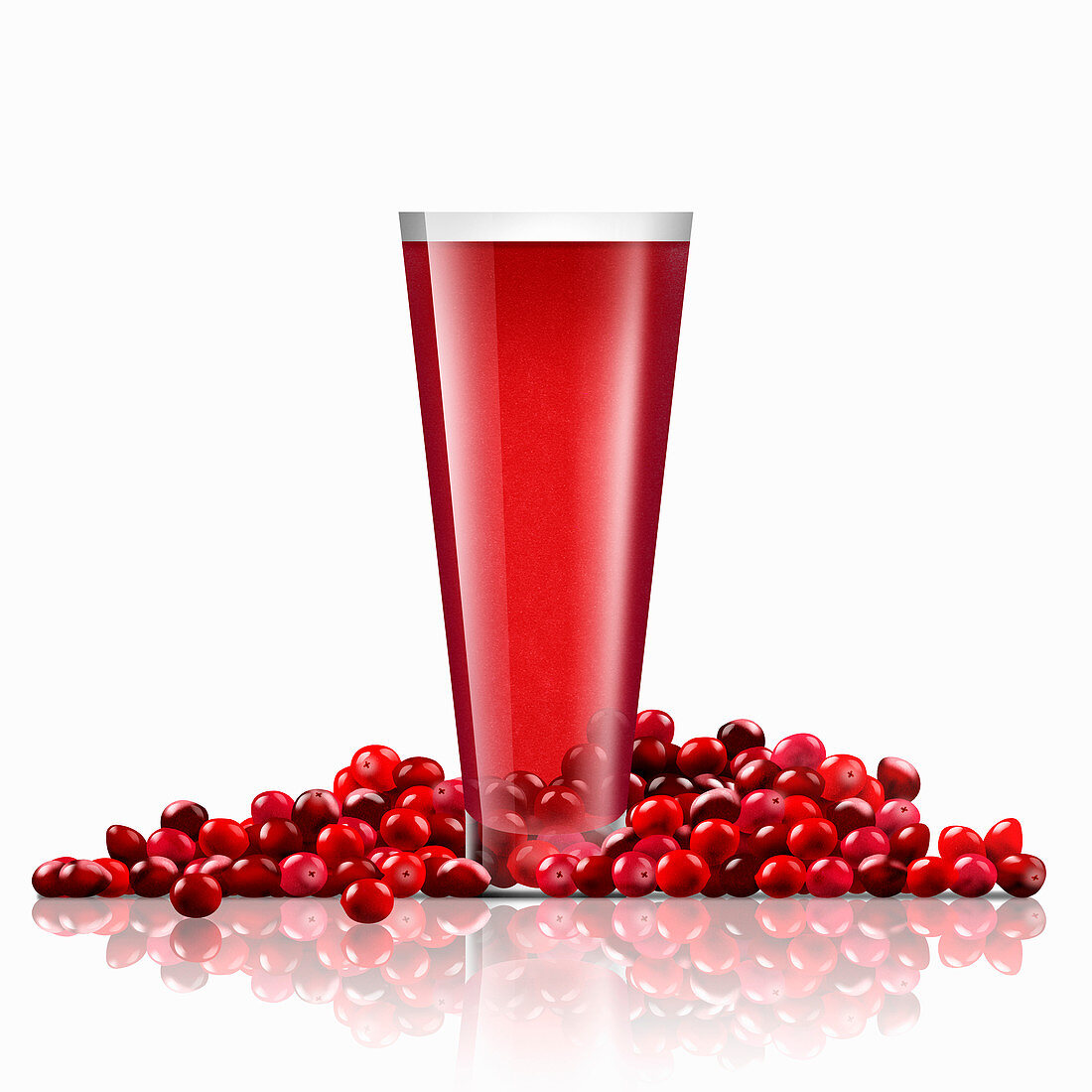 Fresh cranberries and glass of cranberry juice, illustration
