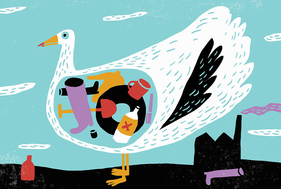 Bird with stomach full of plastic rubbish, illustration
