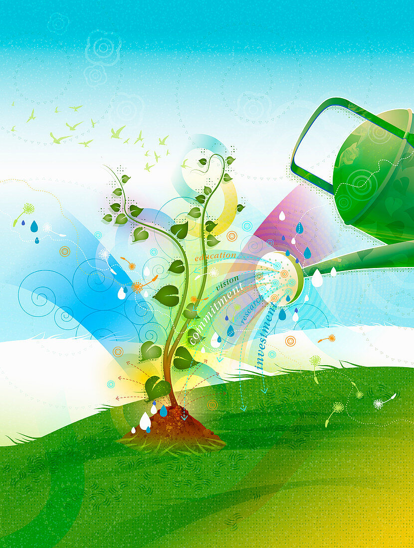 Watering can watering seedling, illustration