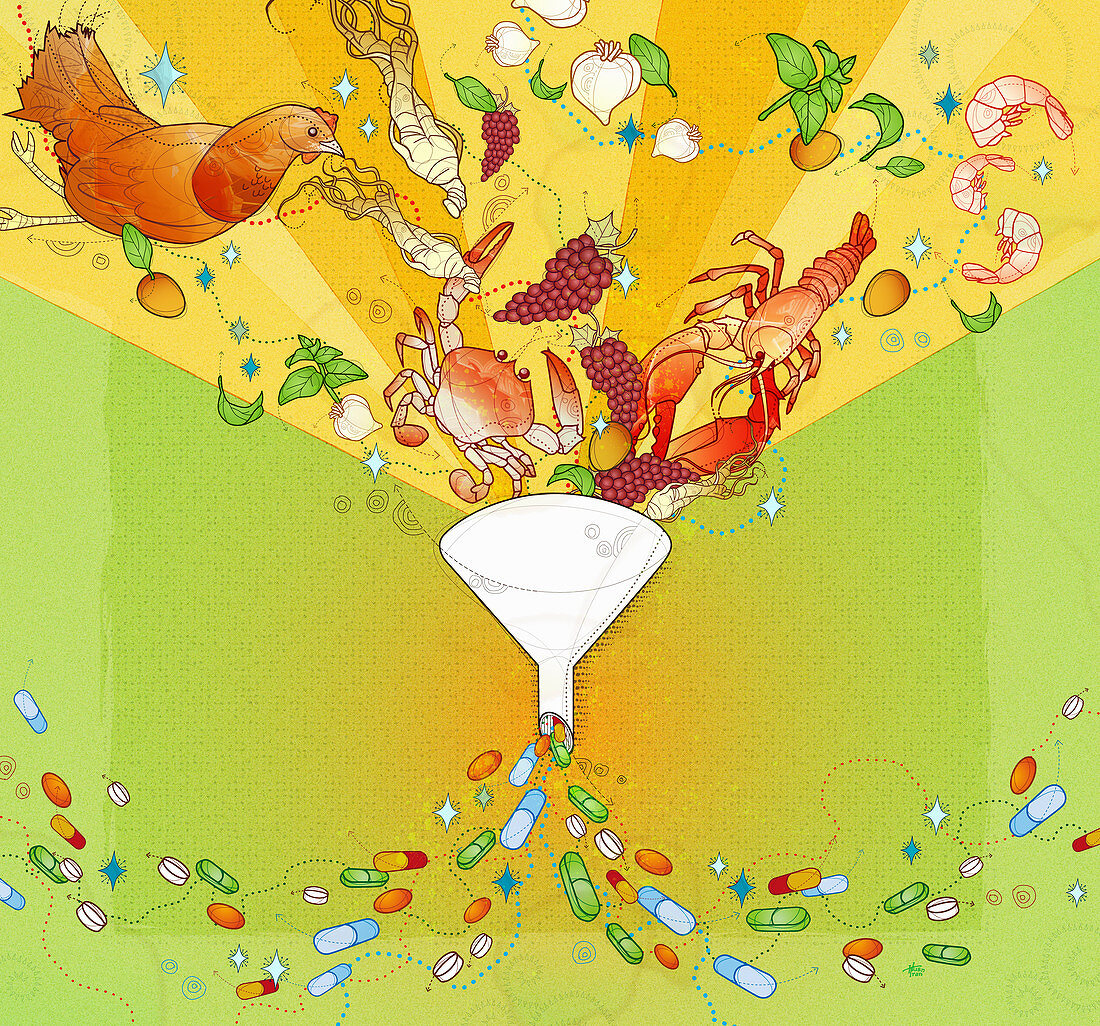 Fresh foods falling into funnel, illustration