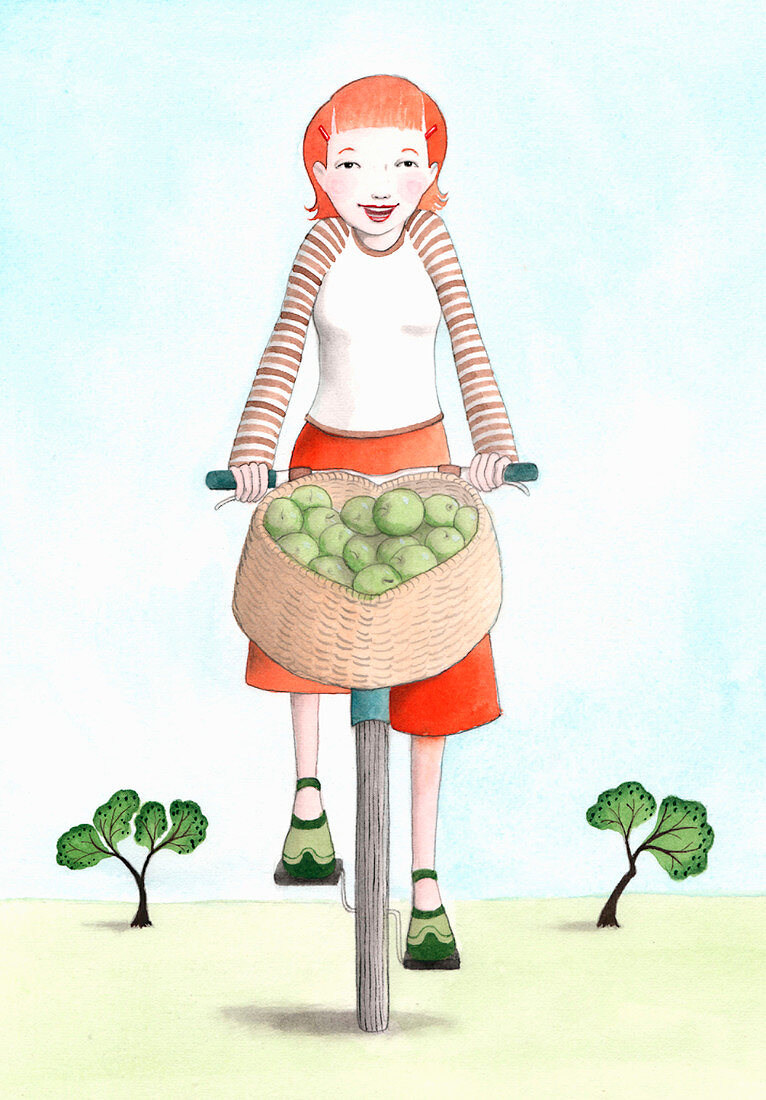 Woman riding bicycle with basket of apples, illustration