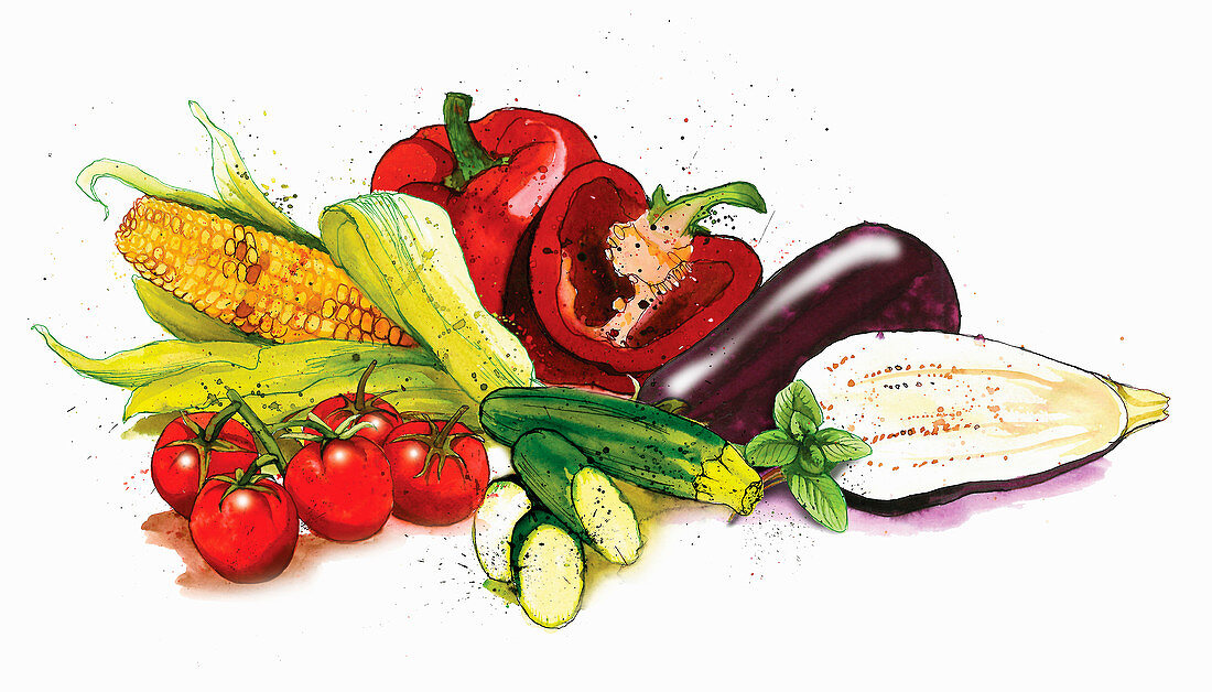 Still life variety of vegetables, illustration