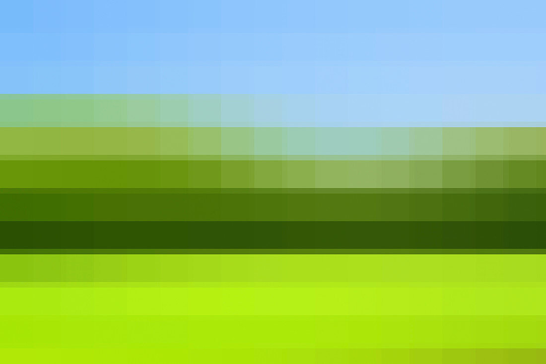 Pixelated view of grassy field, illustration