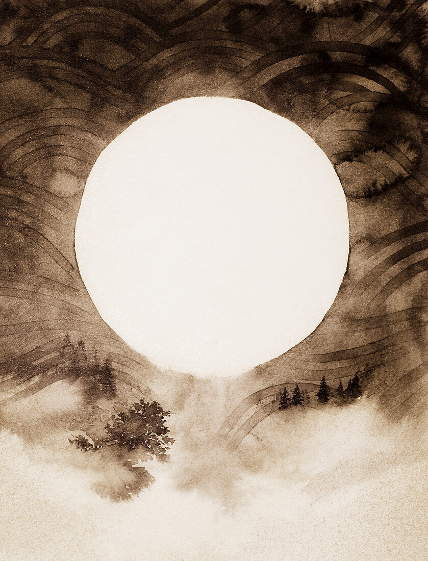 Sun over misty rural landscape, illustration