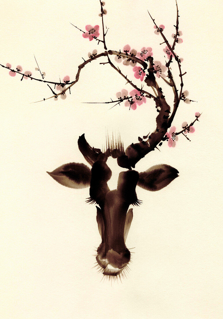 Blossom branches growing from cow's head, illustration