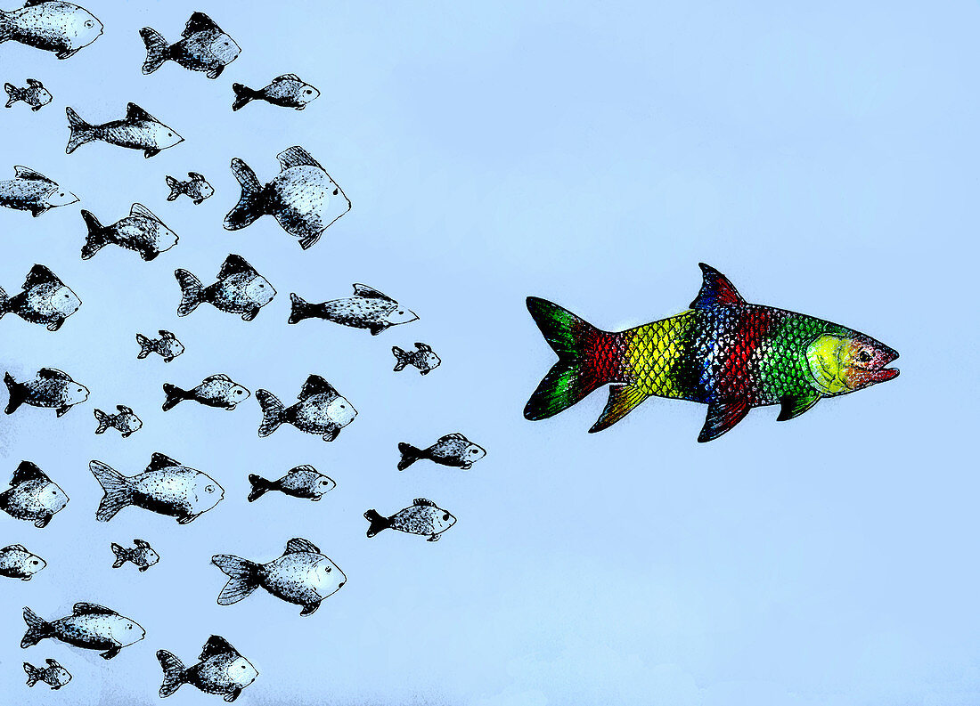 Small fish following large multicoloured fish, illustration