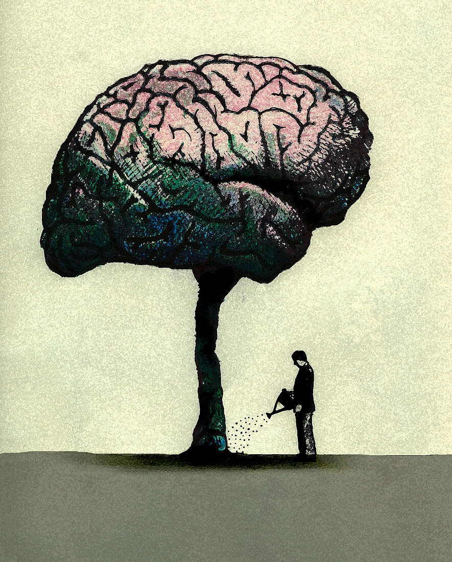Man watering brain tree, illustration