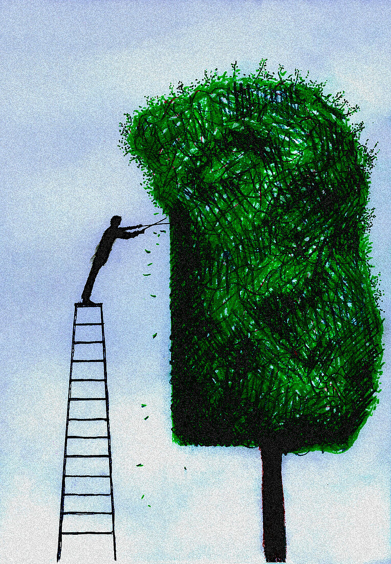 Man on ladder trimming tree, illustration
