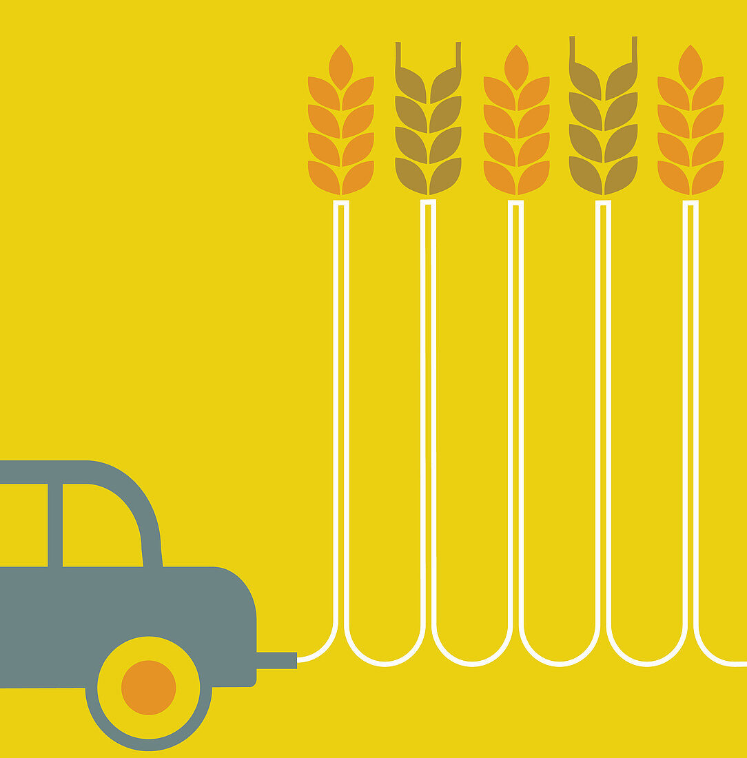 Car leaving trail of wheat stalks, illustration