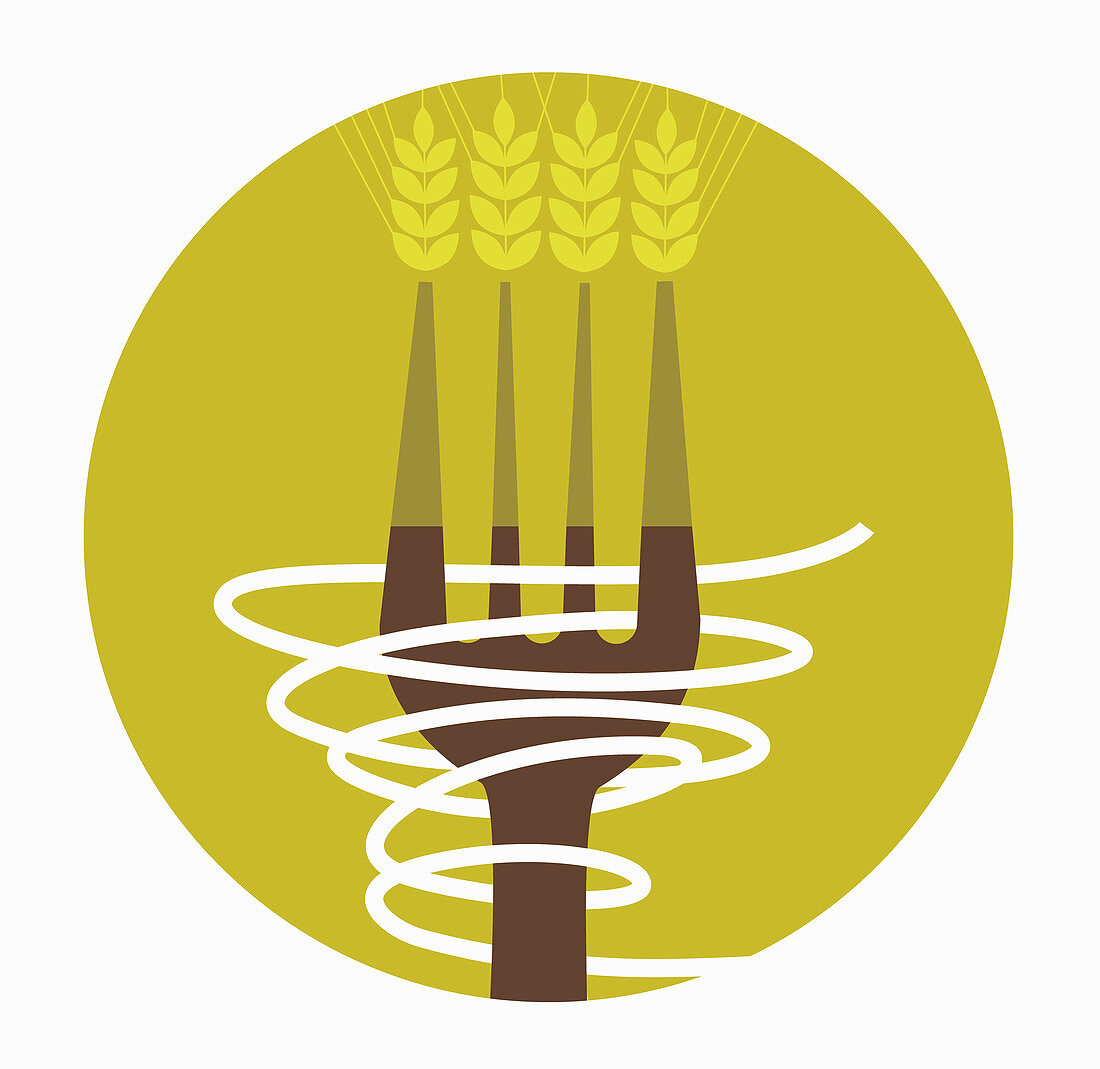 Wheat and pasta on large fork, illustration
