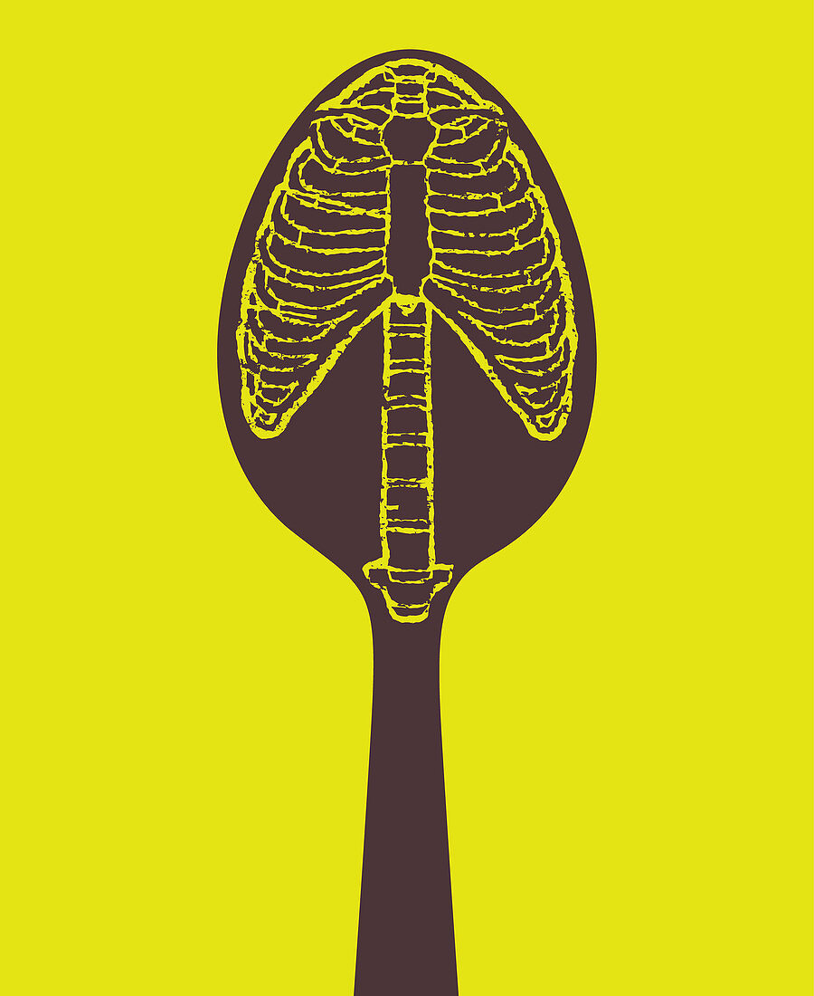 Skeleton of ribs and spine on spoon, illustration