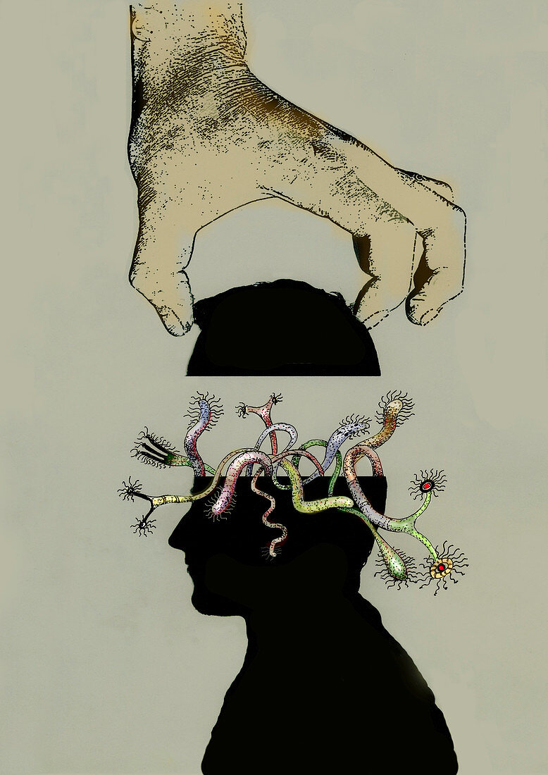 Head full of weird fantasy creatures, illustration