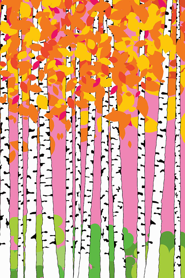 Abstract pattern of birch trees, illustration