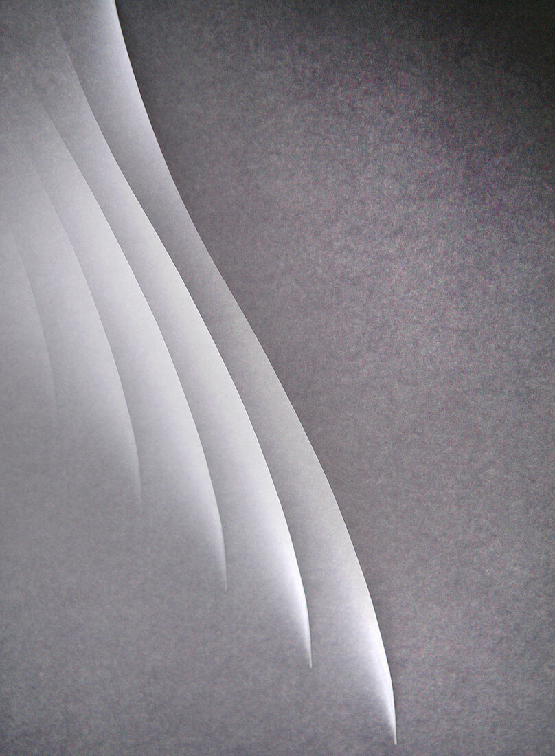 Abstract grey curves, illustration