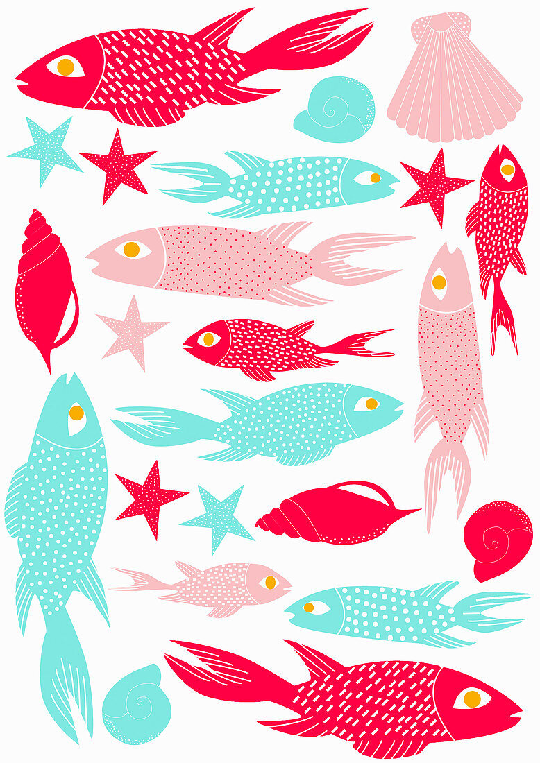 Fish and seashells, illustration