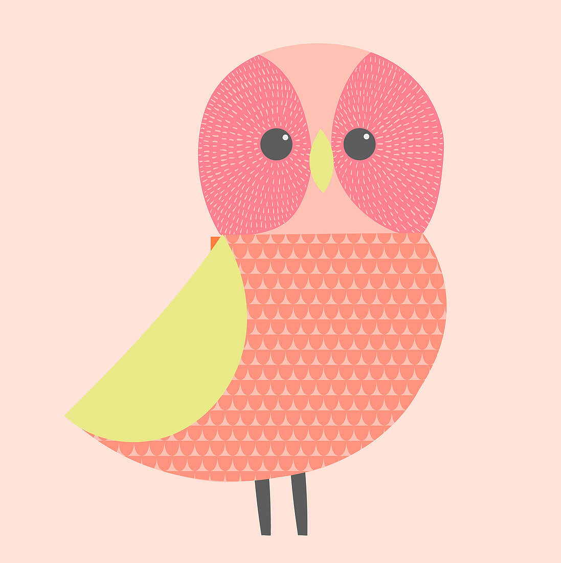 Owl, illustration