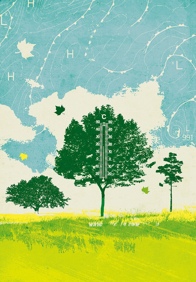 Meteorology symbols around tree, illustration