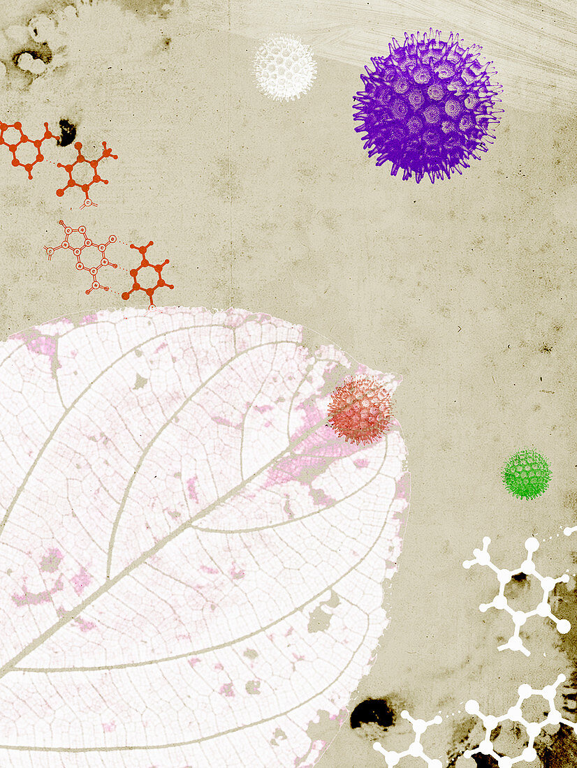 Allergens, molecules and leaf, illustration