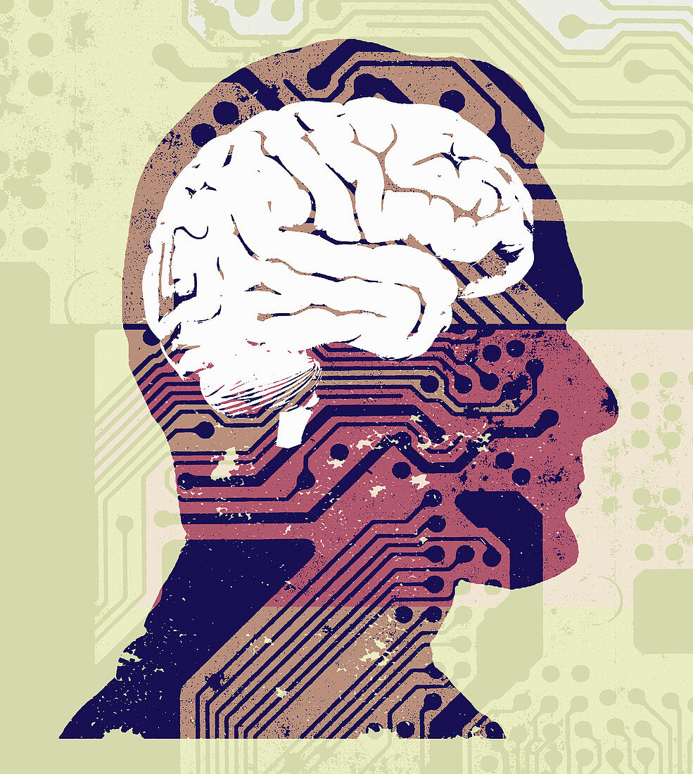 Man's brain connected to circuit board, illustration